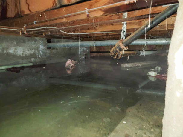  St Hedwig, TX Water damage restoration Pros