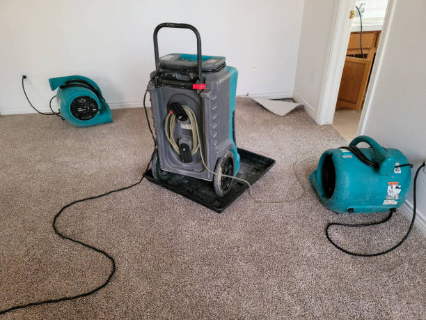 Best Ceiling water damage repair  in St Hedwig, TX