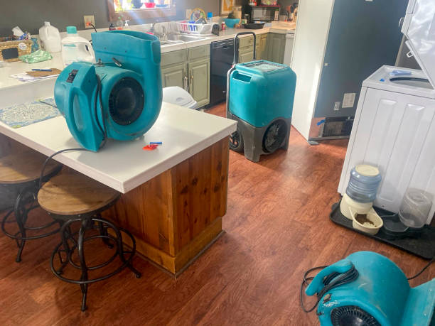 Best Mold removal after water damage  in St Hedwig, TX