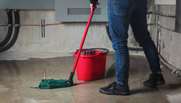 24/7 water damage repair in St Hedwig, TX
