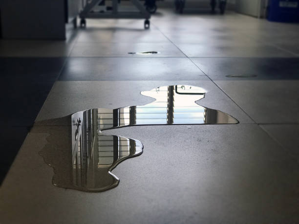 Best Water damage contractors near me  in St Hedwig, TX