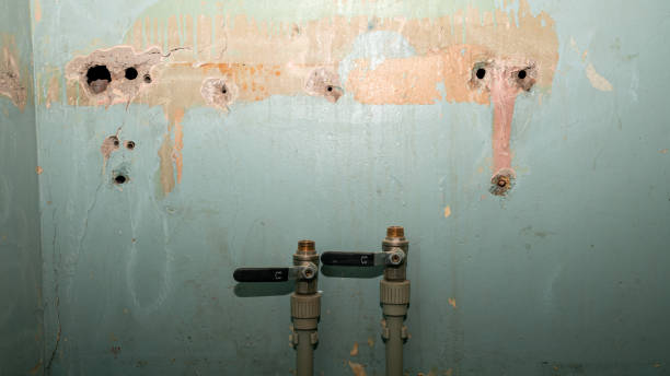 Best Water damage mitigation services  in St Hedwig, TX