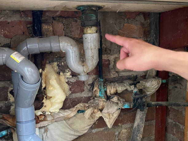 Best Mold removal after water damage  in St Hedwig, TX