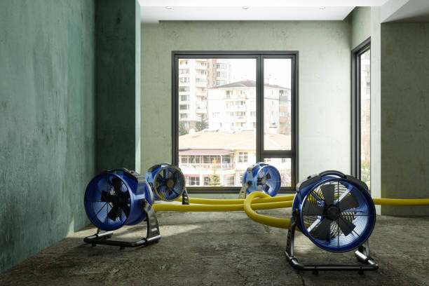 Best Flood restoration services  in St Hedwig, TX